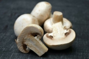 champignons